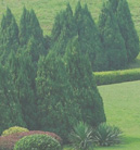 短信电话免费轰炸网站