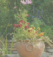 快速切换模式的短信网页在线轰炸源码